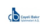 ÇAYELİ BAKIR İŞLETMELERİ A.Ş.