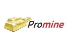 Promine Madencilik - Gold Data Referansı
