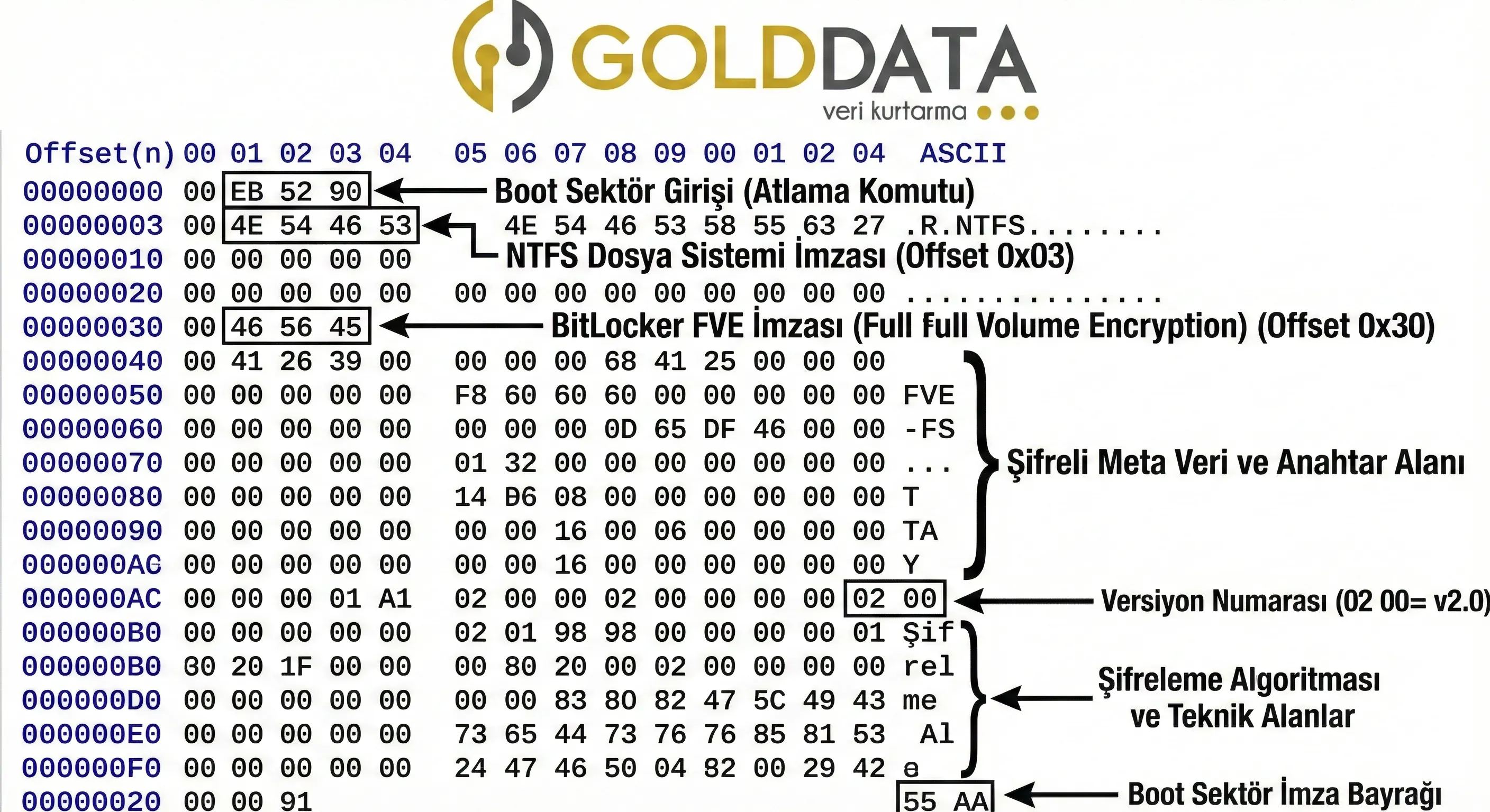 bitlocker_hex_golddata