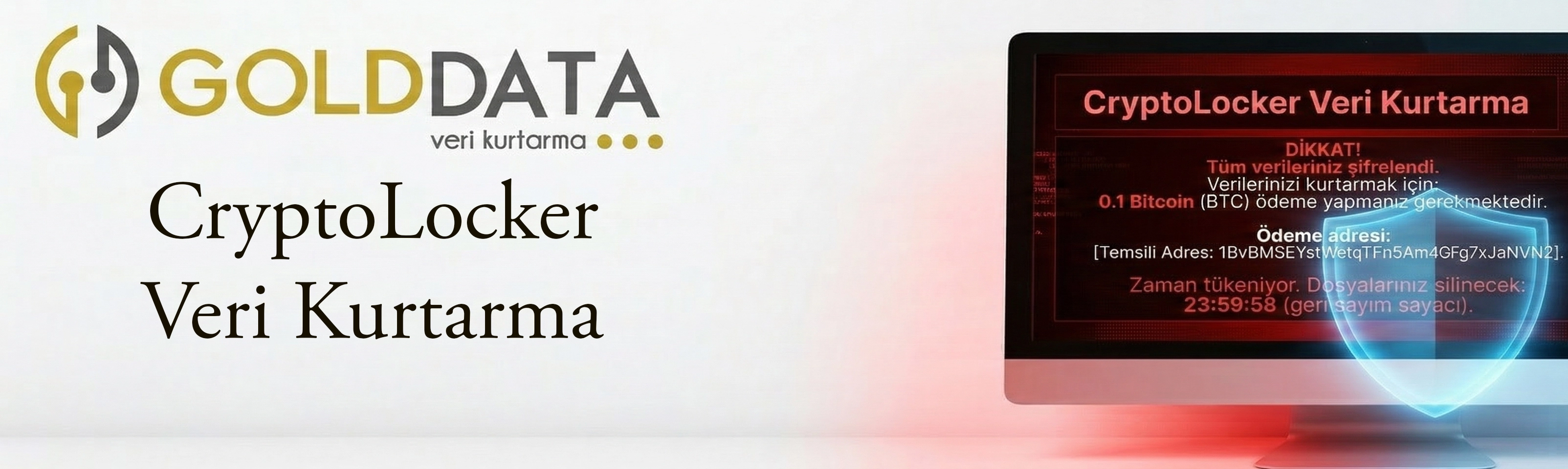 CryptoLocker Veri Kurtarma Hizmetleri