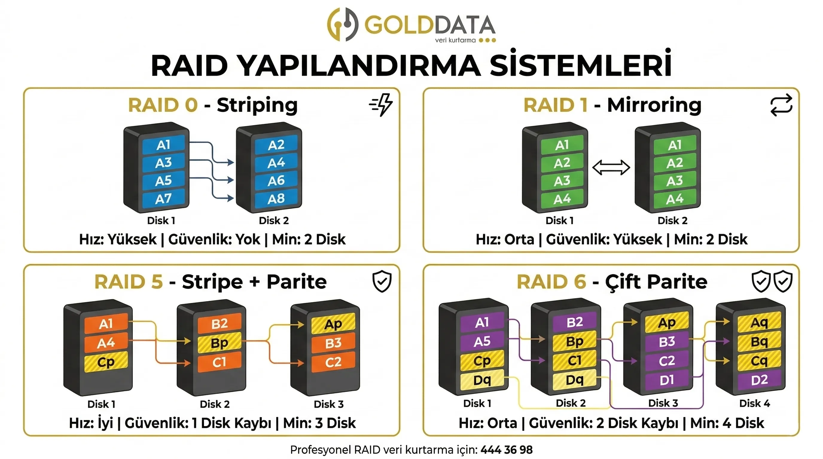 Polüler Raid Tipleri Sistematiği