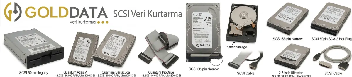 SCSI veri kurtarma hizmetleri - profesyonel SCSI disk kurtarma